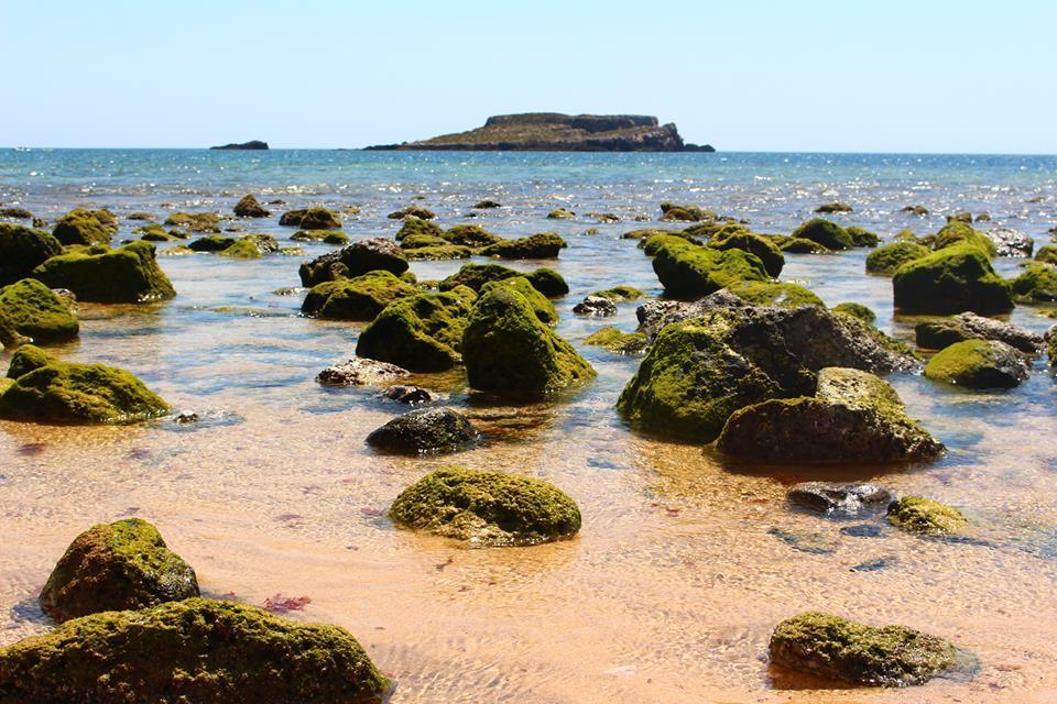 Sagres Sunny Room With Private Bathroom 300M From The Beach Exterior foto